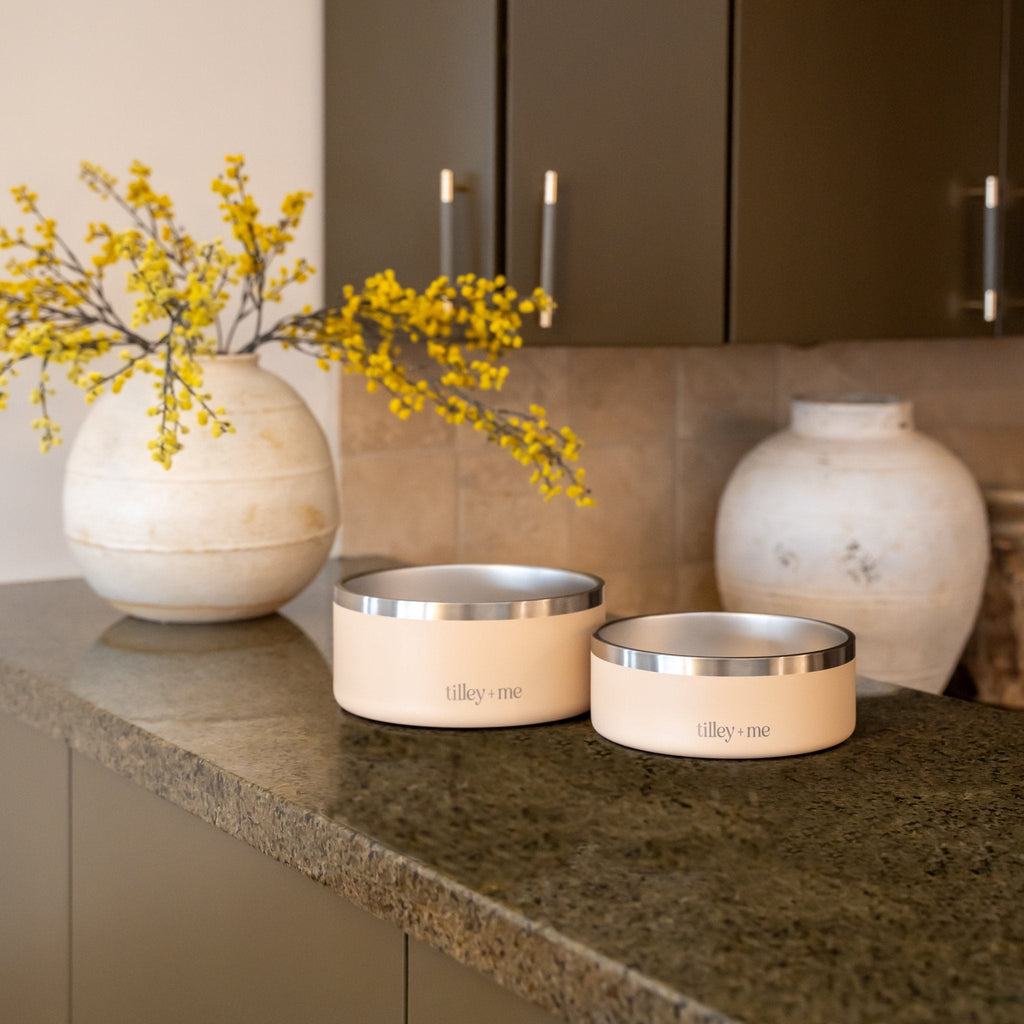 Stainless Steel Pet Bowl – Non-Slip, Durable & Dishwasher Safe | 32oz and 64oz