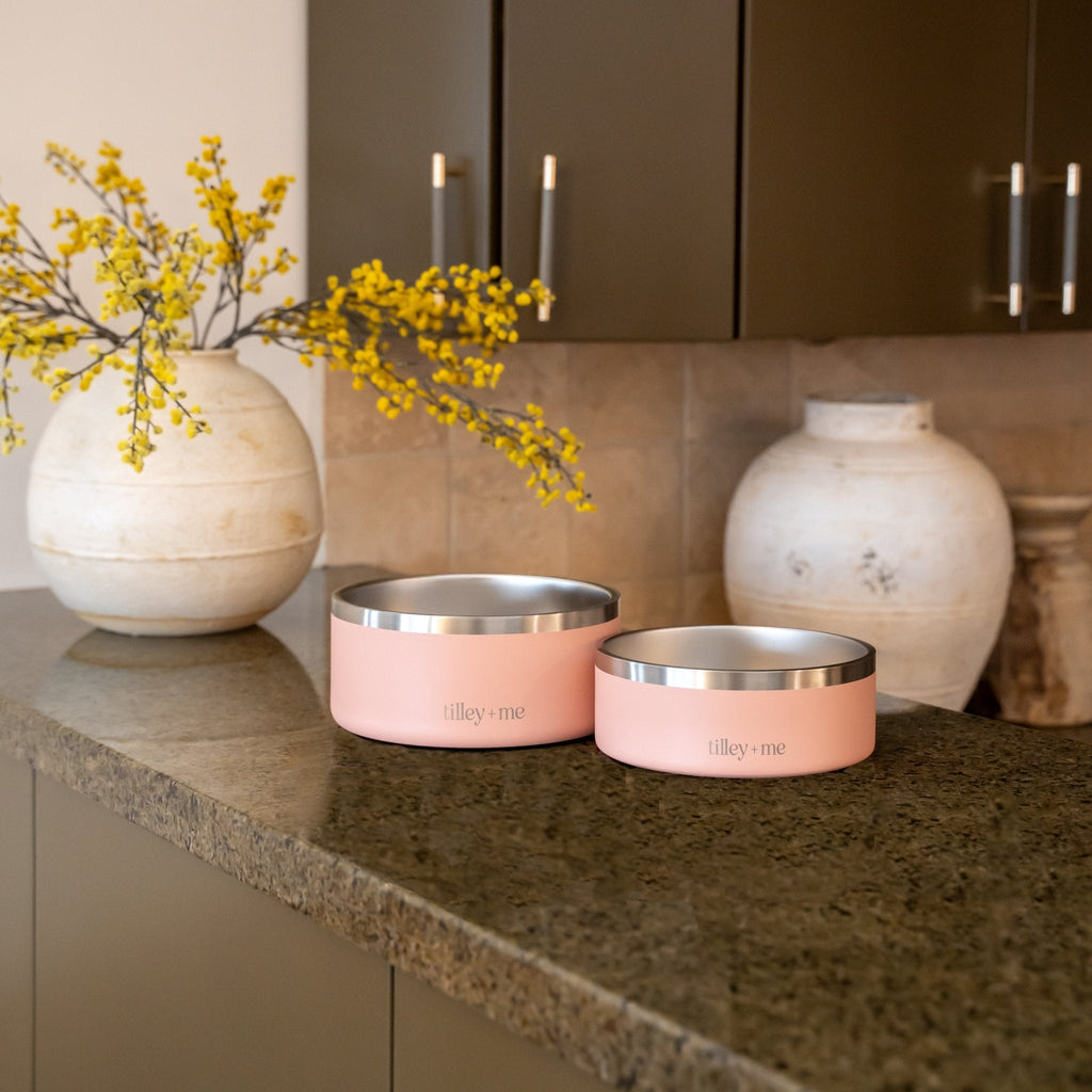Stainless Steel Pet Bowl – Non-Slip, Durable & Dishwasher Safe | 32oz and 64oz