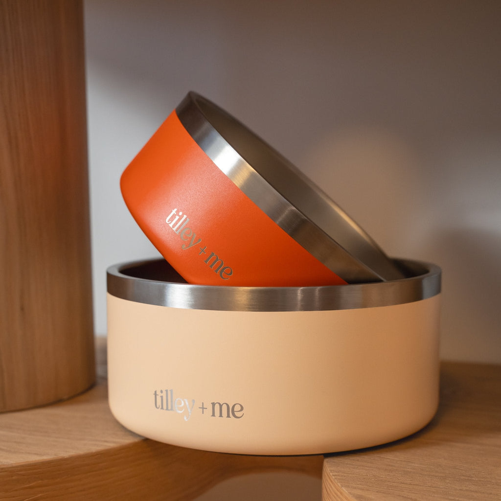 Stainless Steel Pet Bowl – Non-Slip, Durable & Dishwasher Safe | 32oz and 64oz